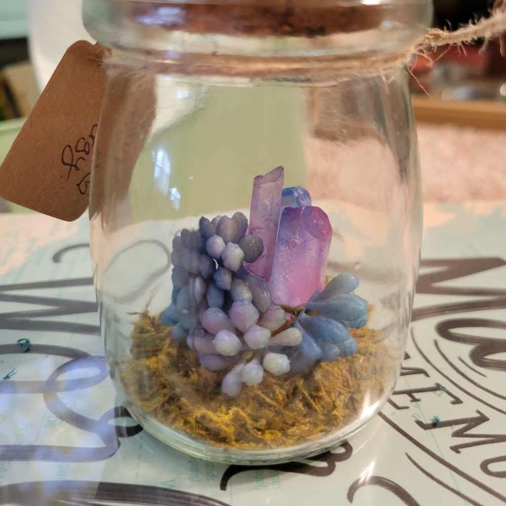 Cotton Candy terrarium